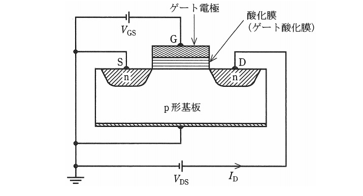 2011�N���_��11